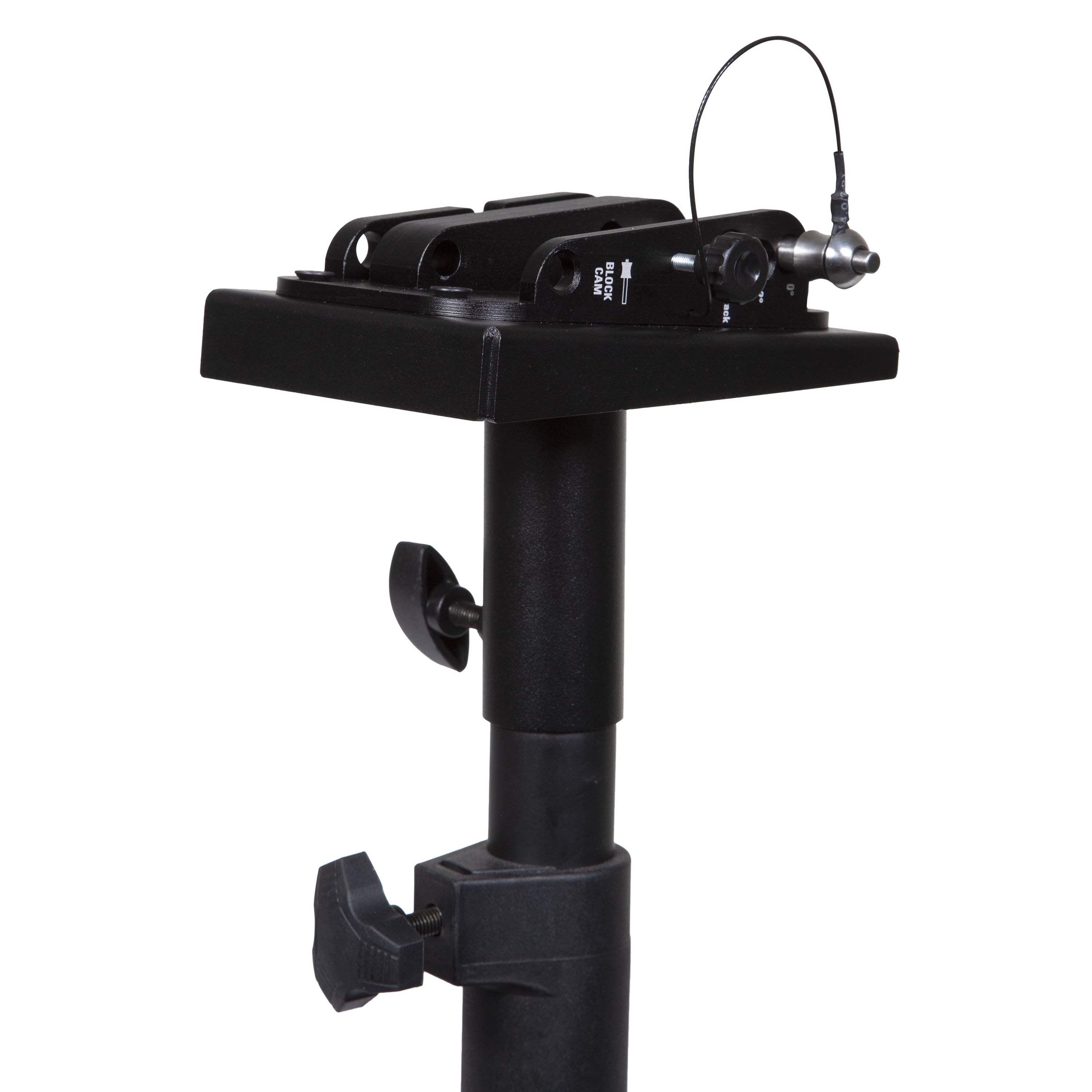 Polaアベックス 81MacbMGXnL._AC_UF1000,