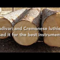 Dexibell VIVOH10MGWHP VIVO H10MG Digital Mini Grand Piano in Polished White