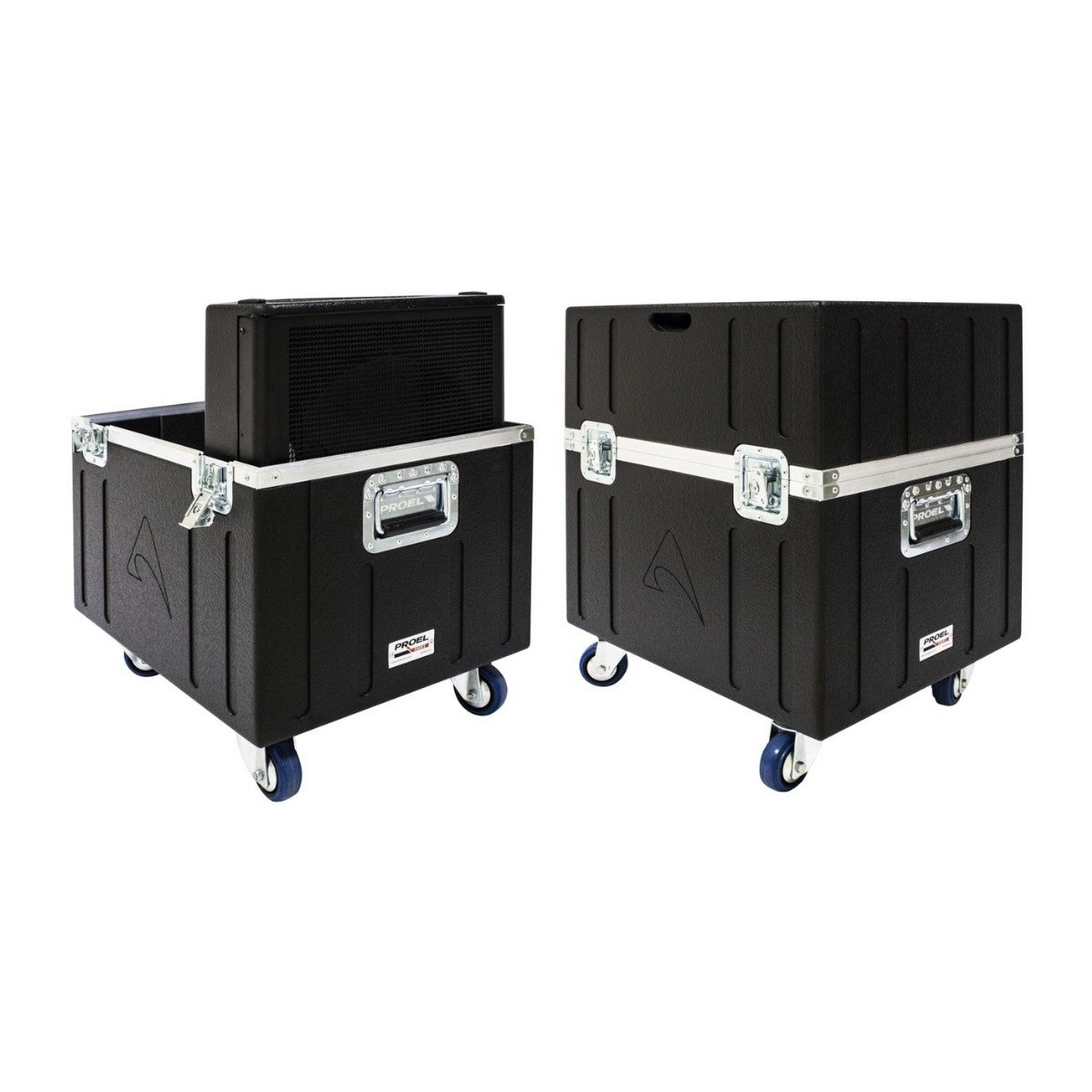 Axiom CASECX15A Carrying Case (Fits 2 x CX15A Coaxial Stage Monitors)