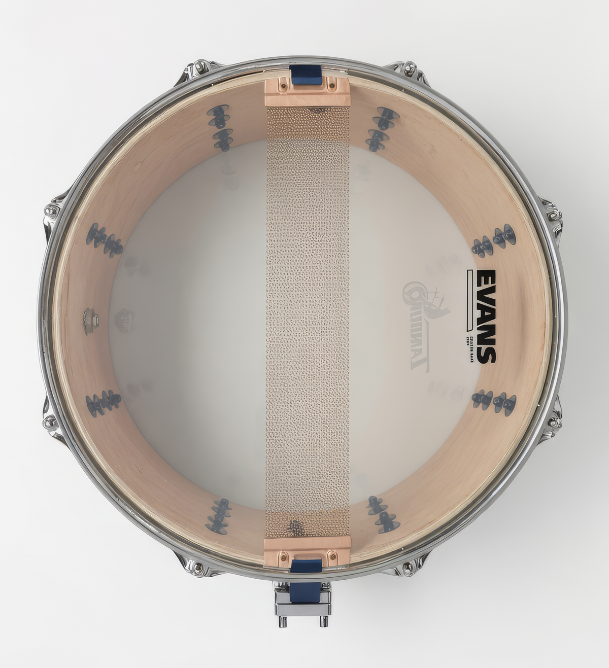 Tamburo TB DTSD1365IV Dorothea Taylor Artist Snare