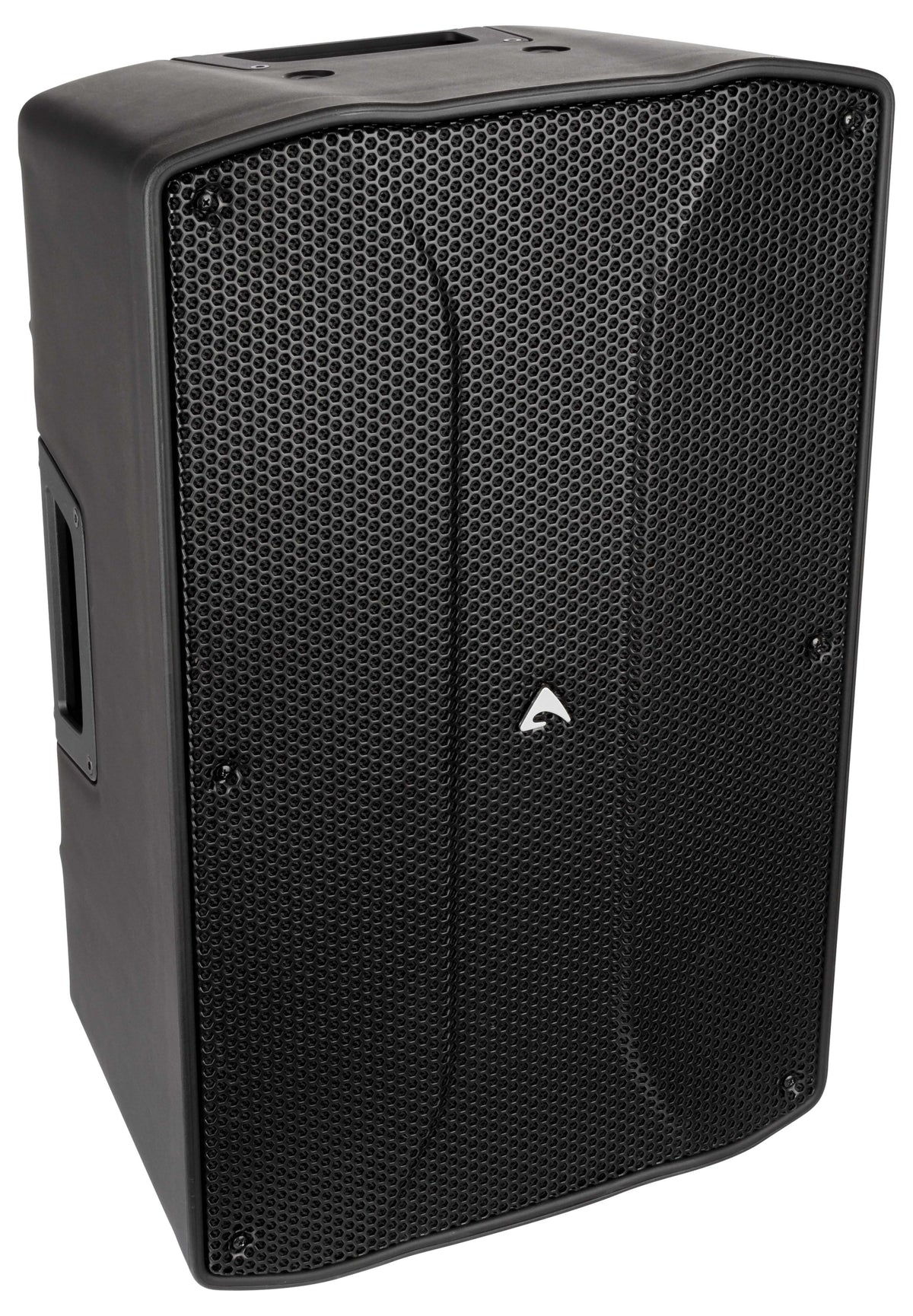 Axiom FL120P 12" Passive Two-Way Point Source Loudspeaker