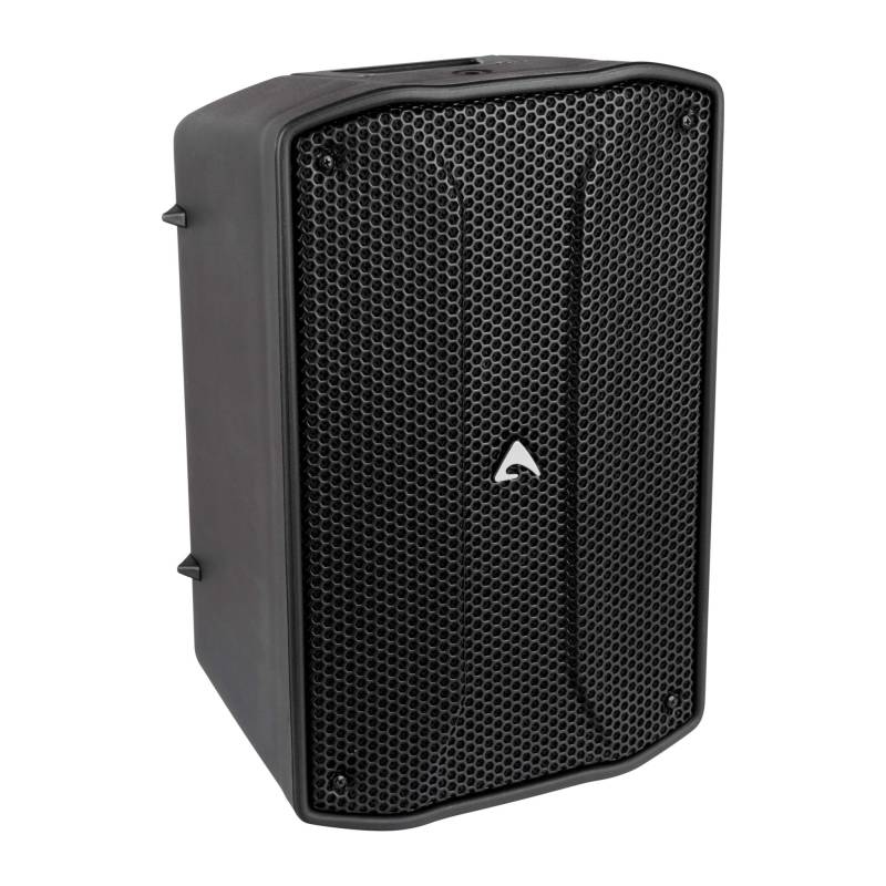 Axiom FL80A 8" Two-Way Powered Point Source Loudspeaker