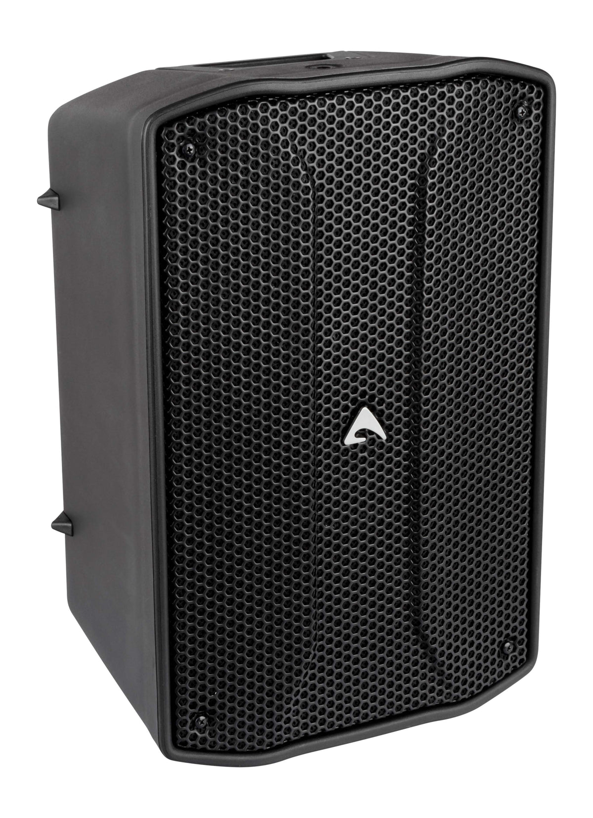 Axiom FL80P 8" Passive Two-Way Point Source Loudspeaker