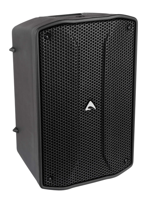 Axiom FL80P 8" Passive Two-Way Point Source Loudspeaker