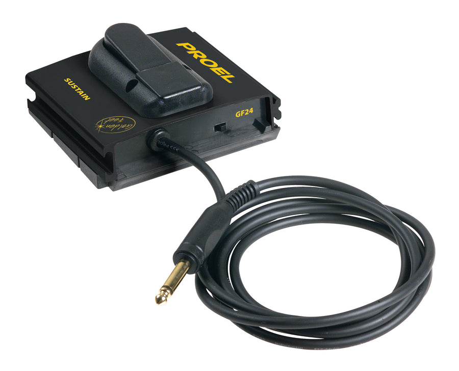pedal sustain PROEL GF24 SUSTAIN control pedal with polarity inversion switch – Proel North America