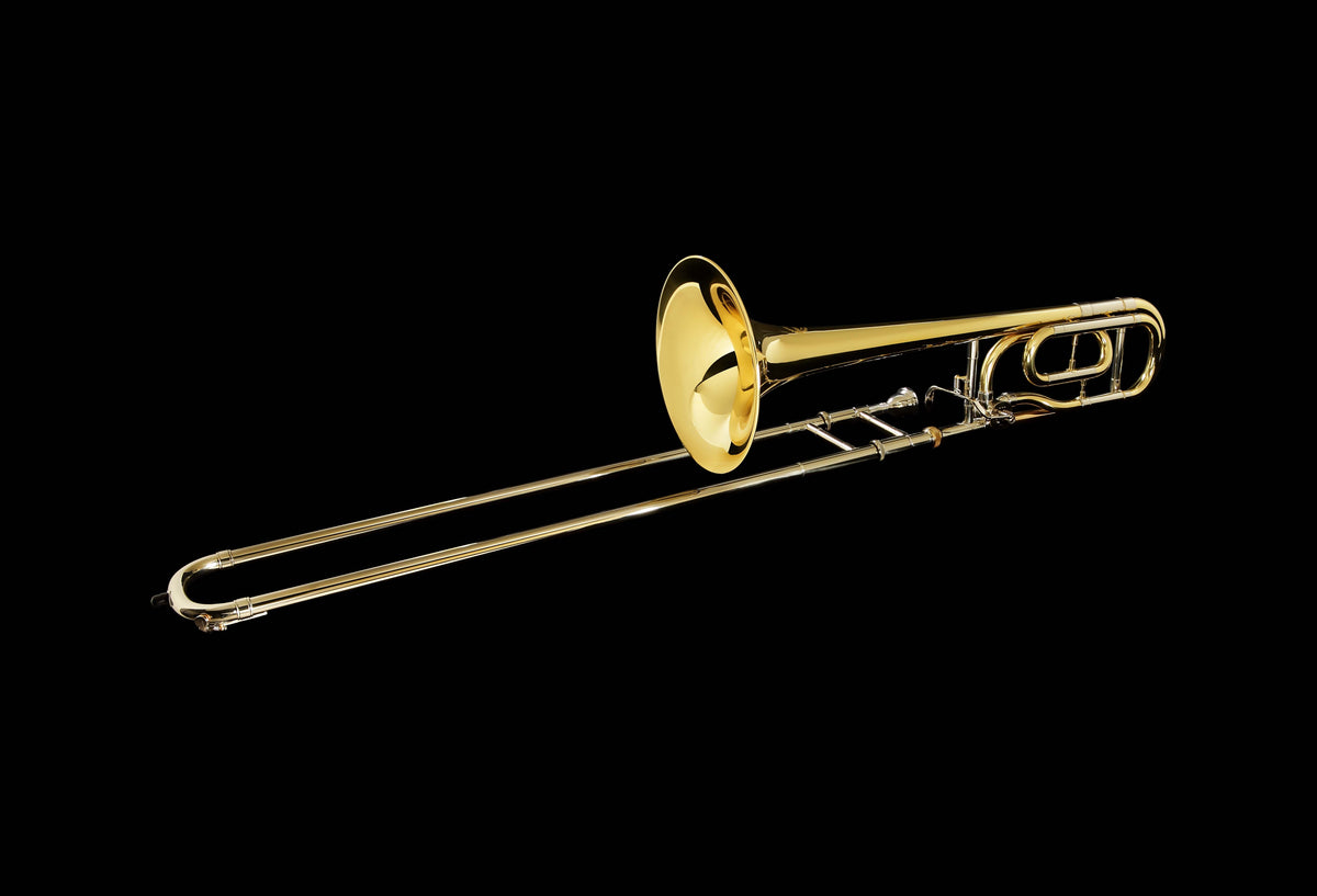 Ida Maria Grassi GR TRB210 Tenor/Bass Trombone in B♭-F (Master Series) – view 3