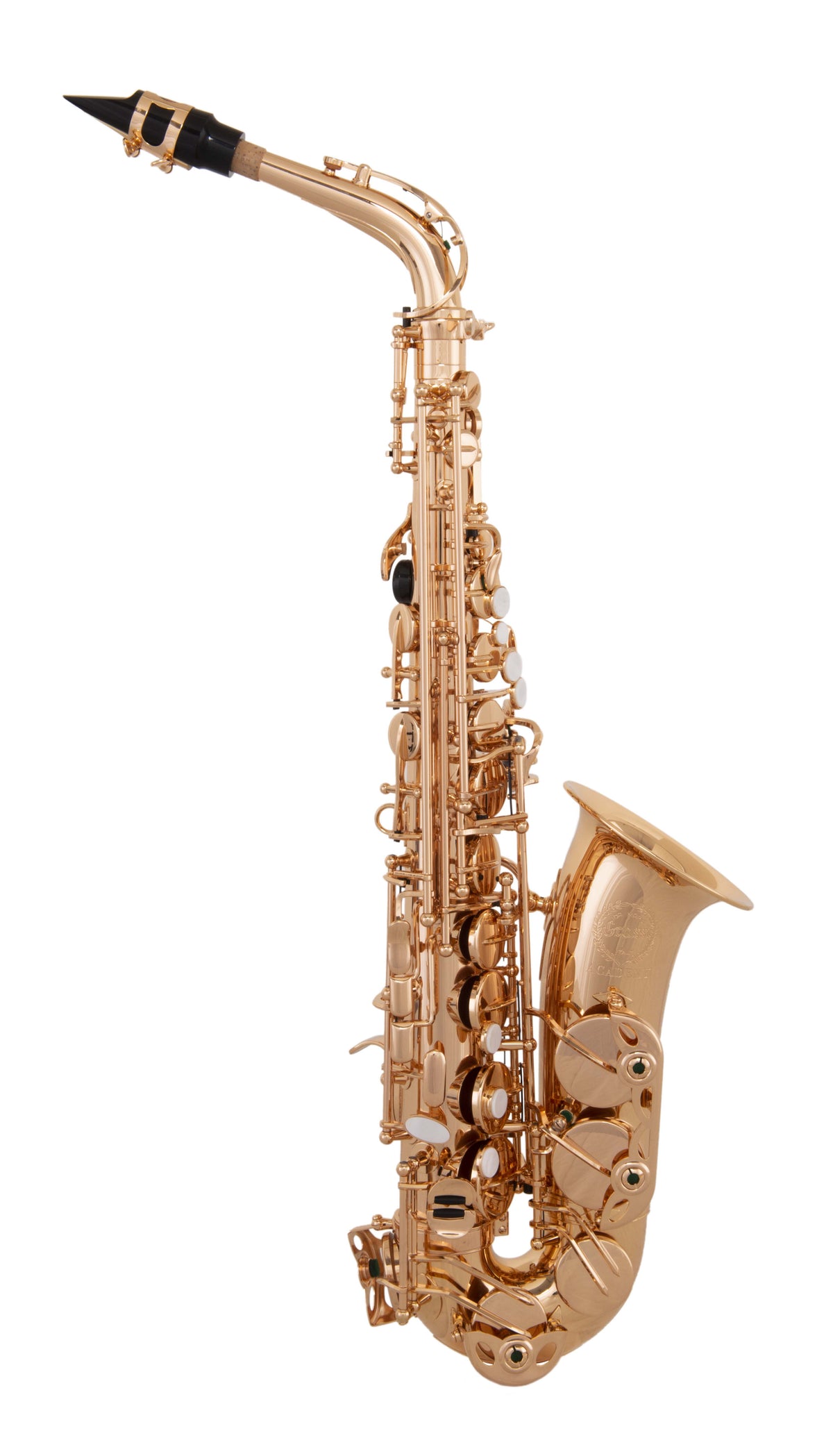 Alto Sax Academy, Champagne Gold, Pisoni Pads, ACAS300G