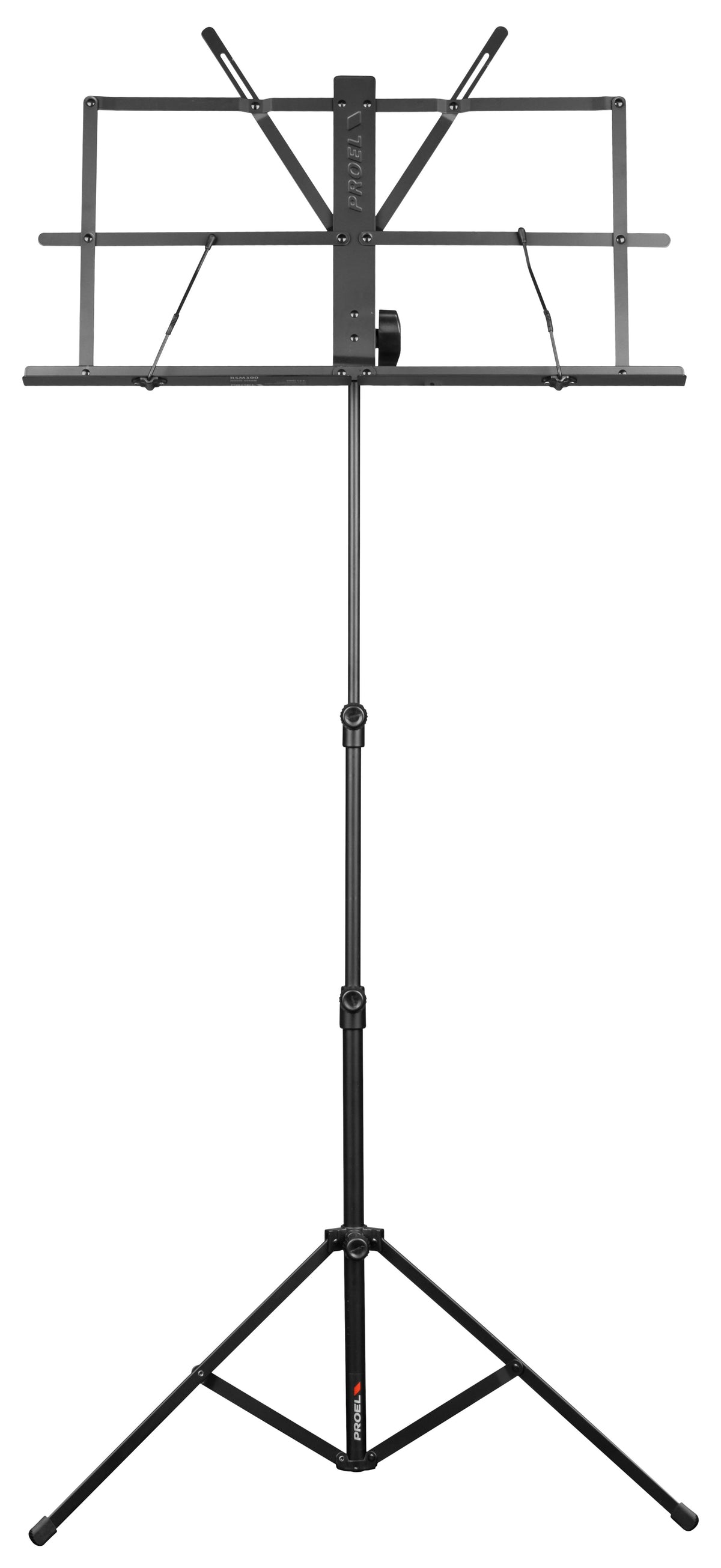 RSM300