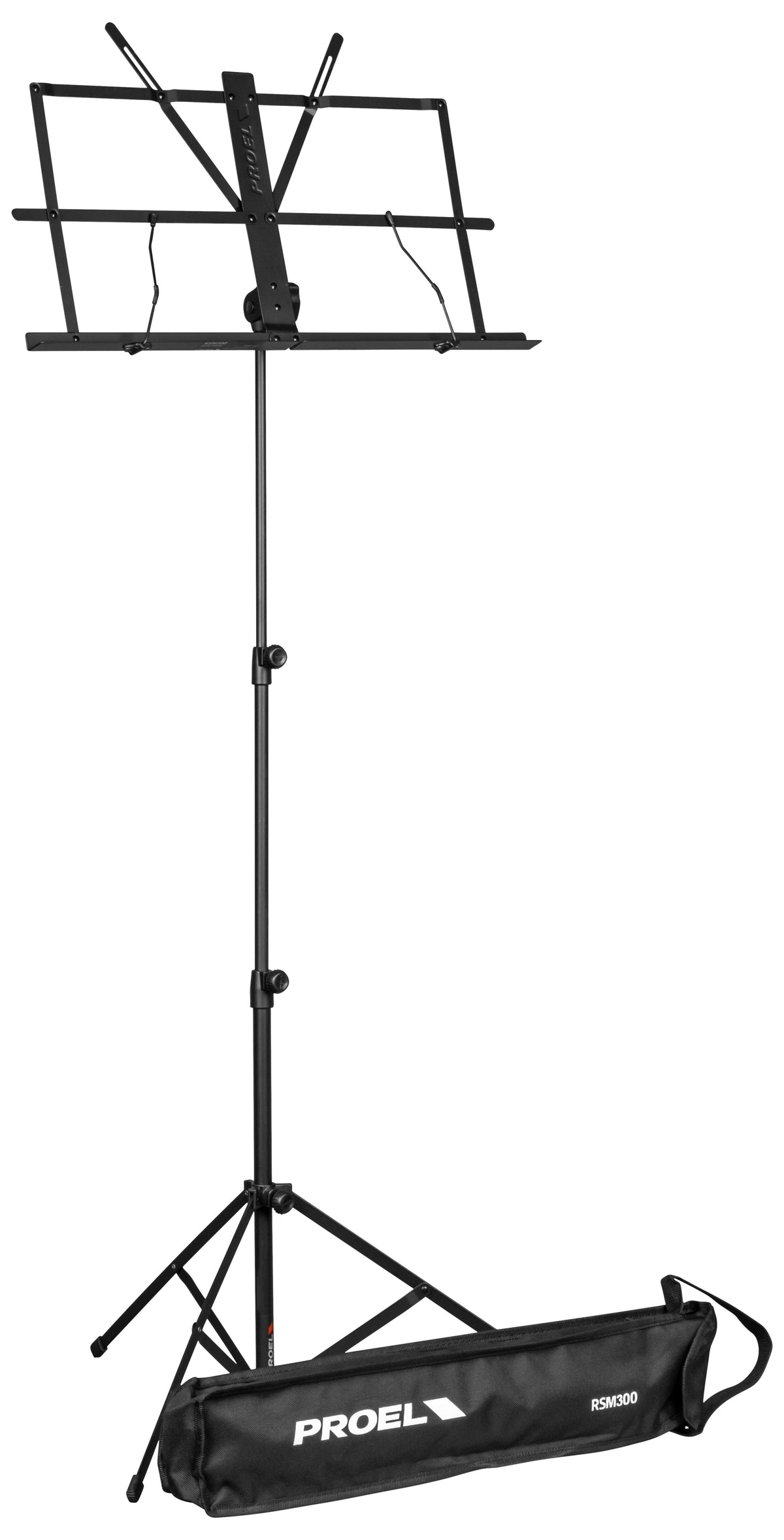 RSM300