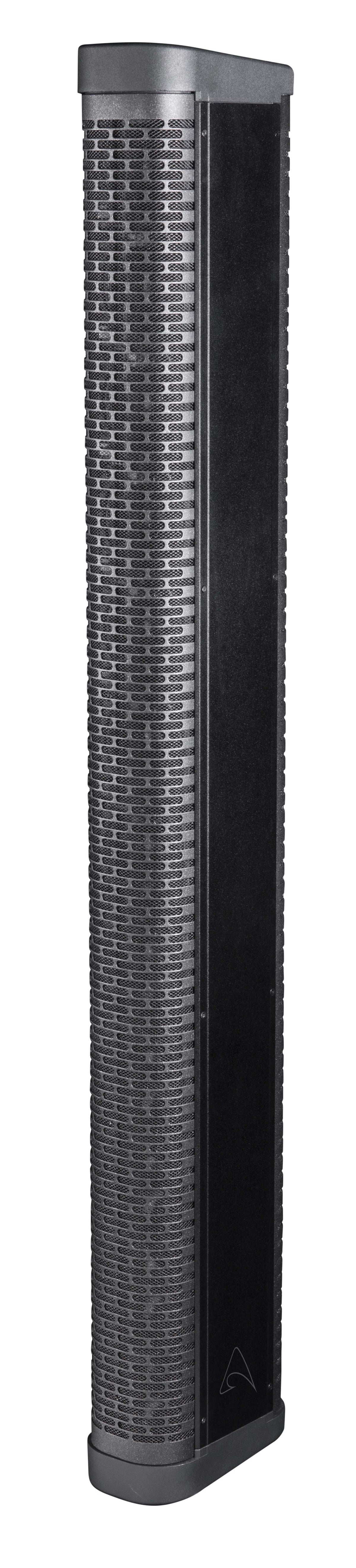 Axiom AX12C 12 x 3.5", Passive, High-Power, Portable Line Array Element (Black)