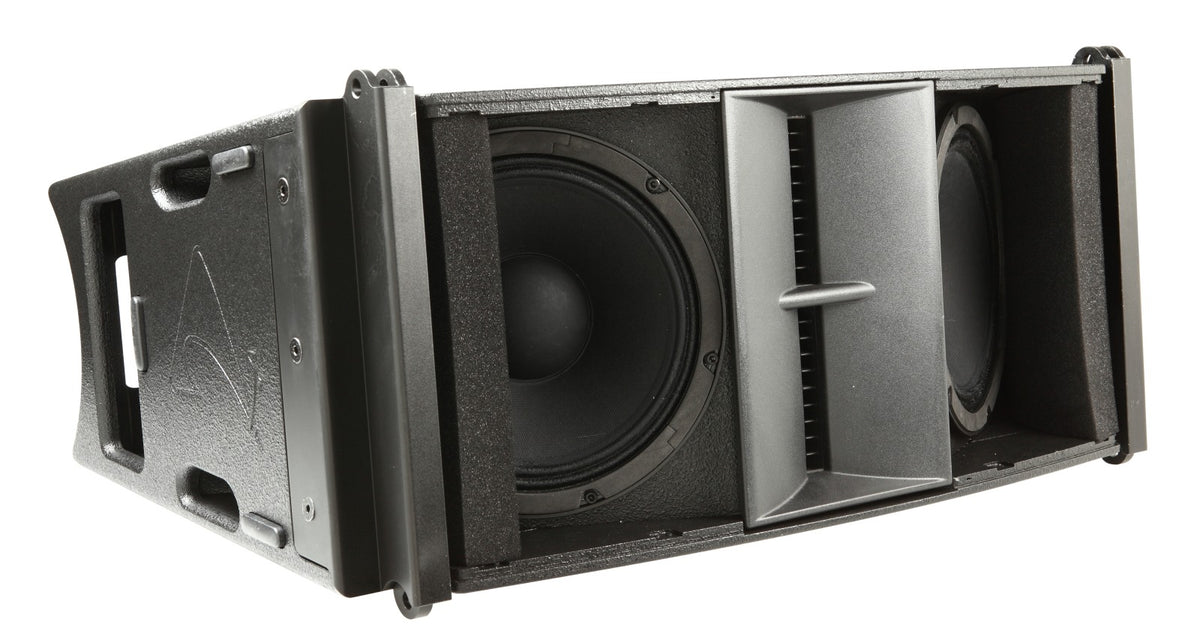 Axiom AX2010P Dual 10", Passive, High-Output, Vertical Array Element (Black) – view 3