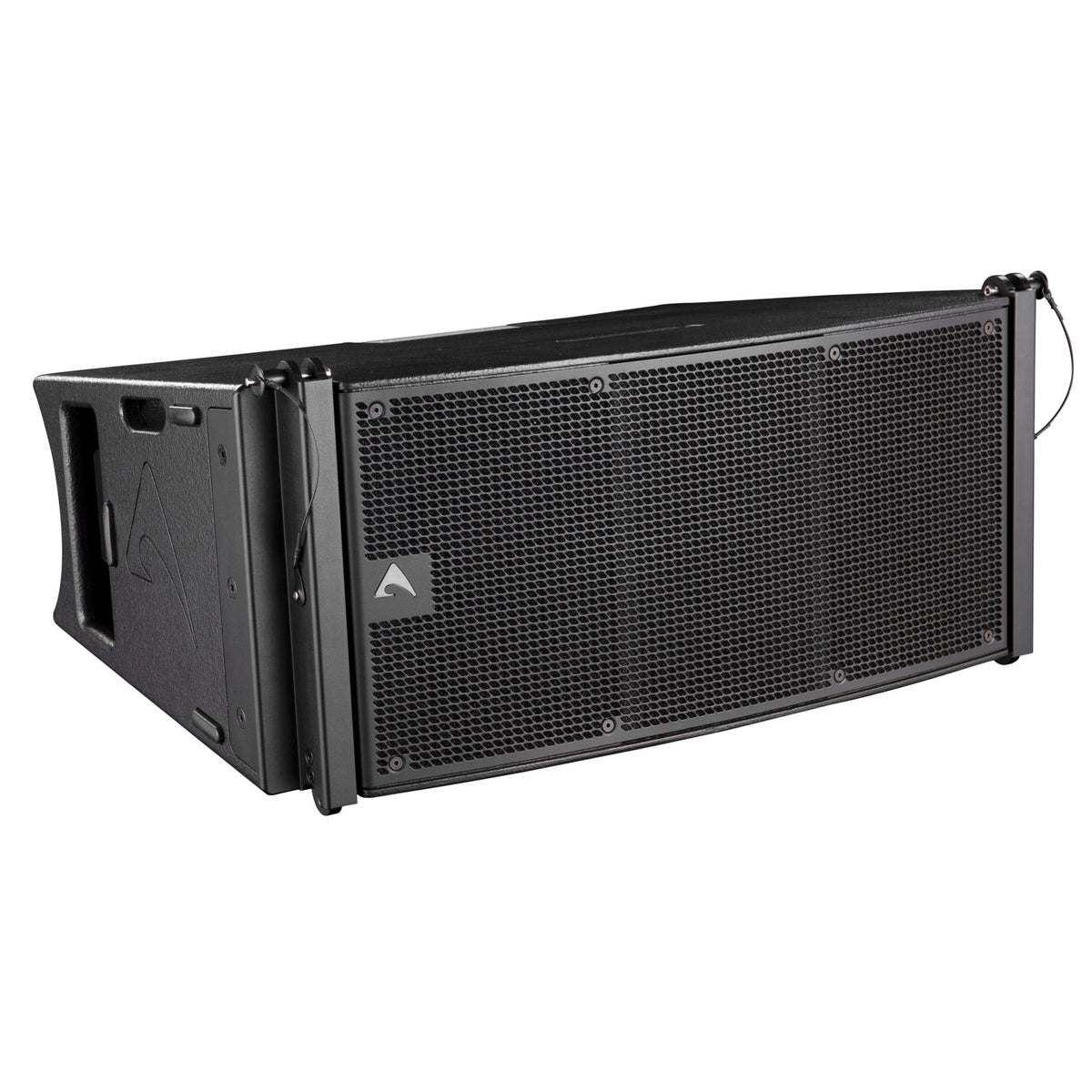 Axiom AX2010P Dual 10", Passive, High-Output, Vertical Array Element (Black)