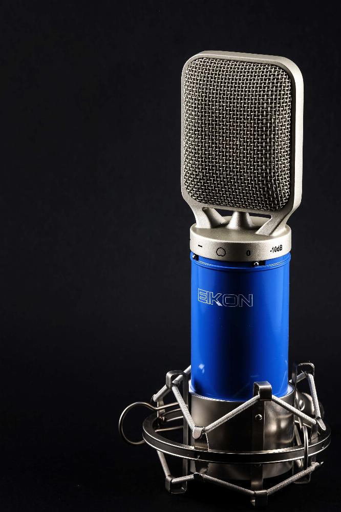 Eikon C14 Condenser Studio Microphone (Blue & Silver)