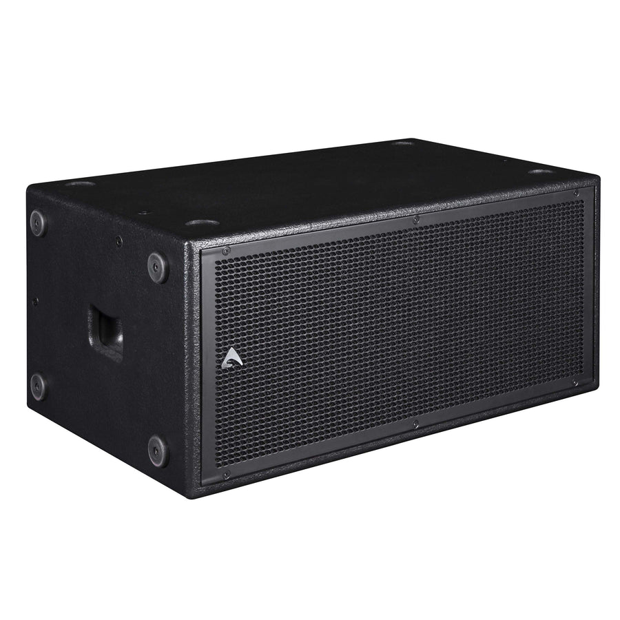 Axiom SW210P Dual 10